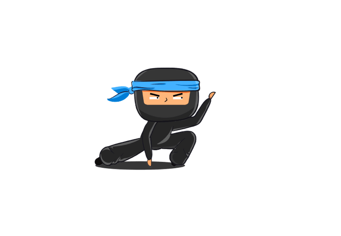 Ninja Power